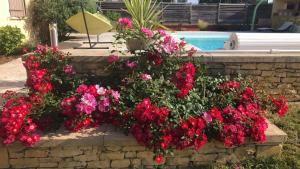 Maisons de vacances Maison au coeur du Perigord : photos des chambres