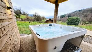 Maisons de vacances Gite Spa 