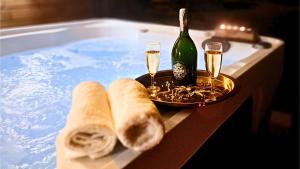 Maisons de vacances Gite Spa 