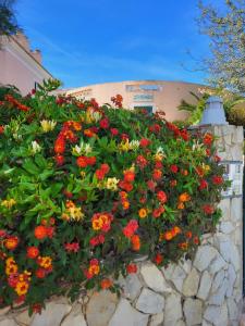 A Place in the Sun Alvor