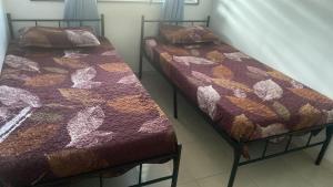 Ainun Homestay with private pool