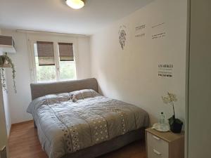 Habitación en apartamento compartido