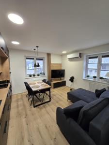 Modern Apartment Javornik