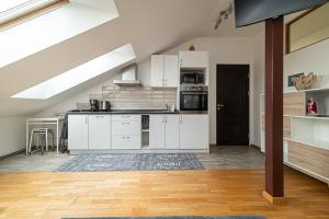 Vilnius Old Town Happiness