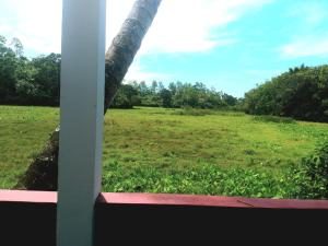 Peaceful view guest house