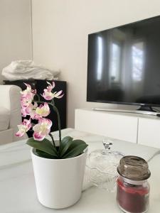 Central Chic Apartment in Central Stockholm