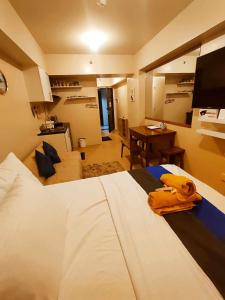 1116 Tower 4 Avida Atria Iloilo Comfy Cozy Central Studio Unit