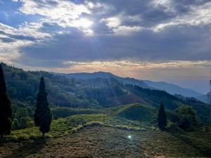 Payun Homestay