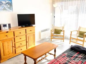 Appartement 2 pièces au pied des pistes, animaux admis, Les Deux Alpes - FR-1-516-10