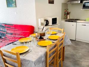 Appartement 2 pièces au pied des pistes, animaux admis, Les Deux Alpes - FR-1-516-10