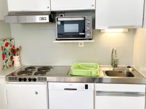 Appartement 2 pièces au pied des pistes, animaux admis, Les Deux Alpes - FR-1-516-10