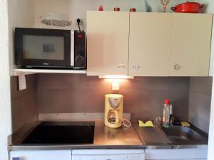 Appartement pour 6 aux pieds des pistes avec animaux acceptés - FR-1-516-7