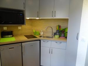 Studette aux Deux Alpes, pied des pistes - FR-1-516-69