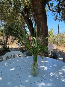 SΗΑΝΤΙ country house 100m from sandy beach