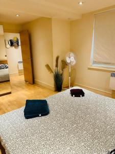 Hyde park lovely apartment