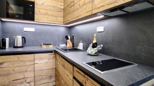 Mountain Apartment Resident - relax s wellness, terasou a soukromou garáží