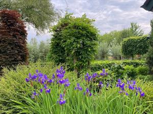Holiday home Zwanesteijn