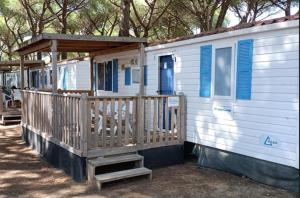 Camping Golden Sunset