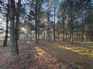 Leśny Raj - Samotnia