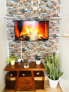 Softlife Home, Classic Studio