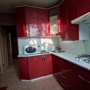 Apartment - Panasa Myrnoho 20 - Novaki