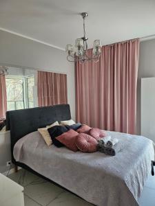 Poznań Center Apartment Zwierzyniecka Centrum, Targi, MTP 24h self check-in, parking