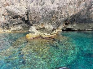 Picasso Art Room Studio Apartment img32