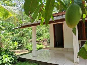 Hiriwadunna Home Stay