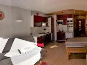 Bel appartement 2 pièces au pied des pistes à Corrençon - FR-1-515-17