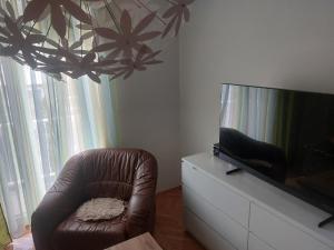 Apartman Koli