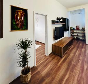 Útulný byt v Starom meste