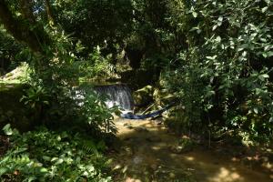 Refúgio Boa Sorte , Sana Macaé RJ