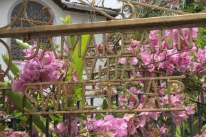 Sweetsop Jamaica Villa and Tour