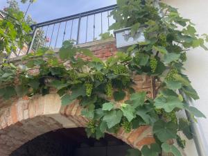 MAG Premium Residence Sopron