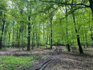 Kiskörtés Vendégház Óhuta