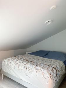 Elegant Penthouse Loft - Center