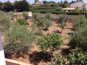 Appartamento con veranda primo piano