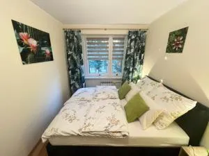 Apartament Zielony Zakątek - 塔尔努夫