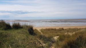 Maisons de vacances Le Grand Orient : photos des chambres