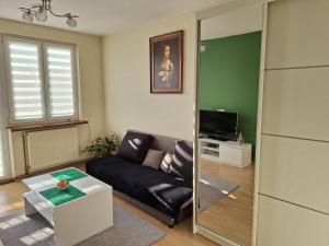 Mieszkanie nad Sanem