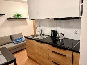 Apartament Rybna 1 Centrum