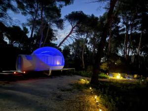 La Bulle des Pins