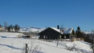 NEUE Fjellhytte - Aust-Torpa