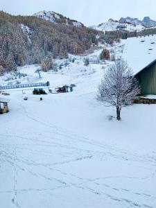 Appartements les Loulous Reallon : photos des chambres