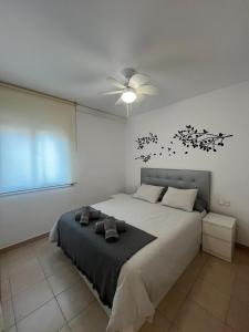 Apartamentos CT
