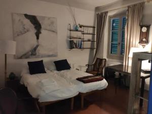 Nice portion of property apartment near P Santo Spirito