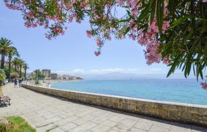 Appartements Awesome Apartment In Sarrola Carcopino : photos des chambres