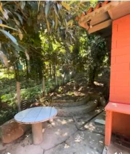 Encanto dos Pássaros