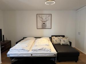 Beautiful Sunny New 1 Bed Apt (2.5Zim). Ski inout