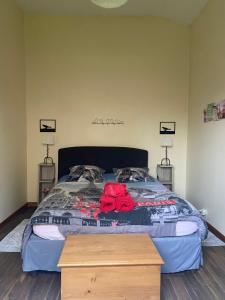 Maisons de vacances L'Araucaria : photos des chambres